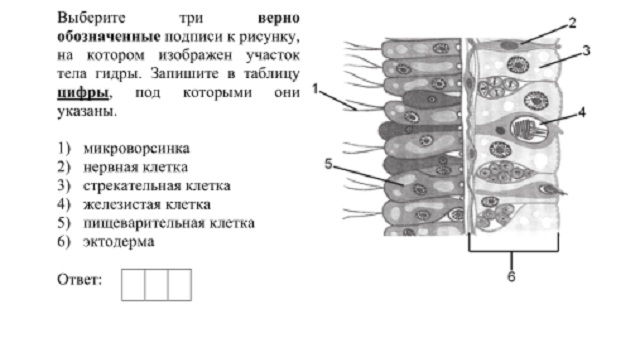 Сайт кракен россия