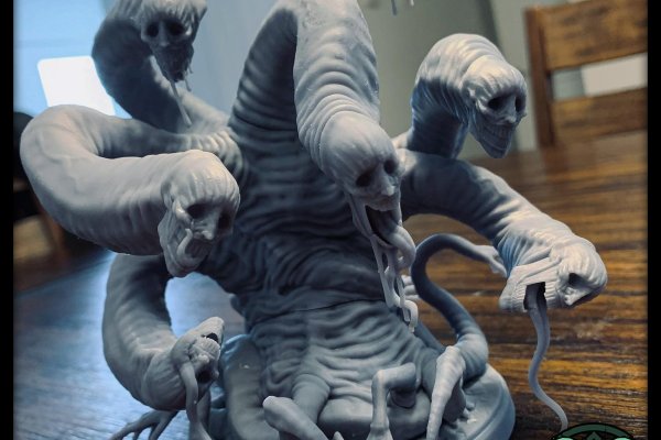 Kraken 12at